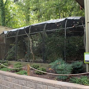 Sep. 2018 - Western Burrowing Owl Exhibit