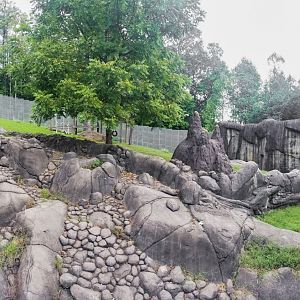 Sep. 2018 - Chimp Ridge - Chimpanzee Outdoor Exhibit Panorama