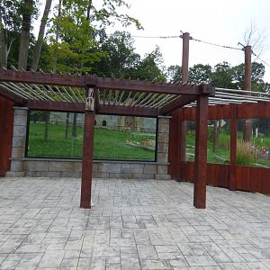 Lion Exhibit - Sept. 2018