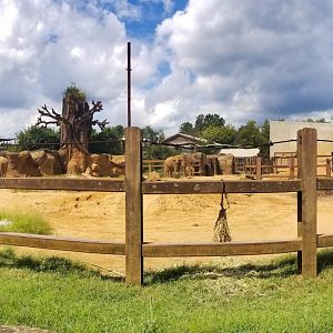 Sep. 2018 - Grasslands Africa - 0.65 Acre African Elephant Exhibit