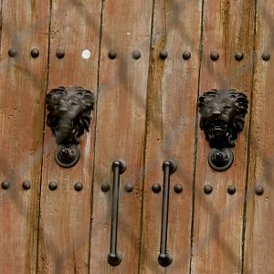 Door Details in Lion Exhibit - Sept. 2018
