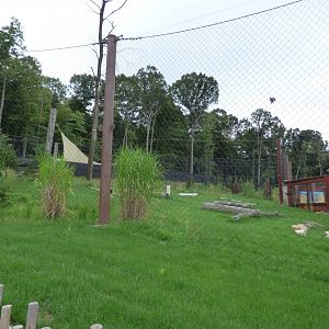 Hyena Exhibit - Sept. 2018