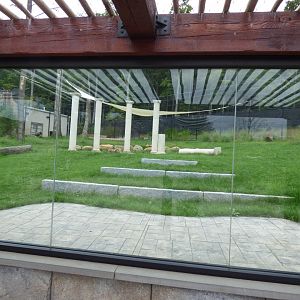 Hyena Exhibit - Sept. 2018