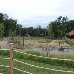 Overview of African hooftstock yard - Sept. 2018