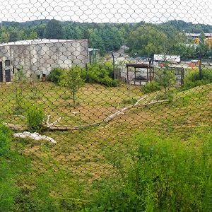 Sep. 2018 - Asian Trek - First Malayan Tiger Exhibit Panorama