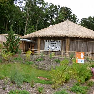 African Penguin Exhibit - Sept. 2018