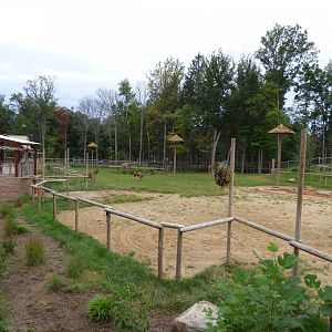 Giraffe Exhibit - Sept. 2018