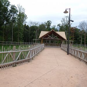 Giraffe Exhibit on Each Side of Board Walk - Sept. 2018