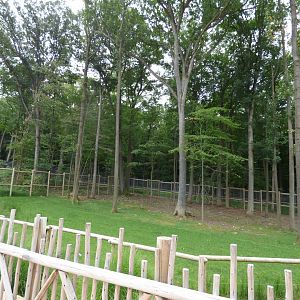 Giraffe Exhibit - Left of Boardwalk - Sept. 2018