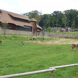 Giraffe Exhibit - Sept. 2018