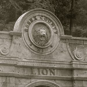Lion Exhibit Detail - Sept. 2018
