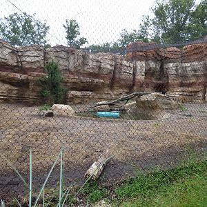 Jaguar Exhibit - Sept. 2018