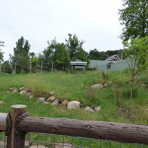 Manned Wolf/Giant Anteater Exhibit - Sept. 2018