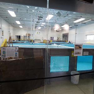 Turtle Rehabiltation Building - Sept. 2018
