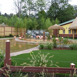 Flamingo Exhibit - Sept. 2018