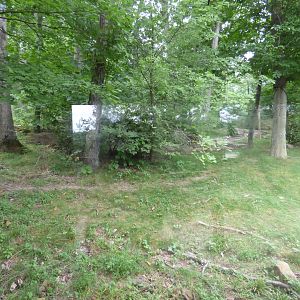 Black Bear Exhibit - Sept. 2018