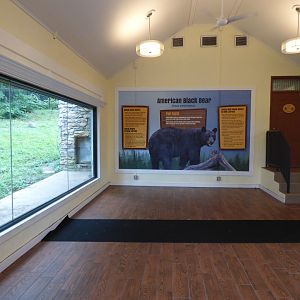 Black Bear Exhibit - Sept. 2018