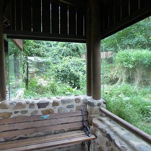 Gray Wolf Exhibit - Sept. 2018