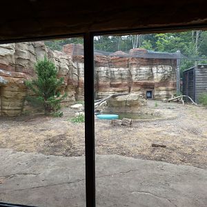 Jaguar Exhibit - Sept. 2018