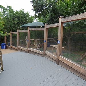 Red Panda Exhibit - Sept. 2018