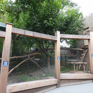 Red Panda Exhibit Sept 2018