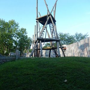 8/12/2018 - Orangutan Habitat