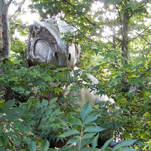 8/12/2018 - Is this Columbus Zoo, or Jurassic Park?!