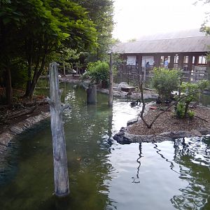 8/12/2018 - Waterfowl Pond