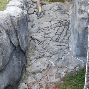 8/12/2018 - A Literal Rock Slide