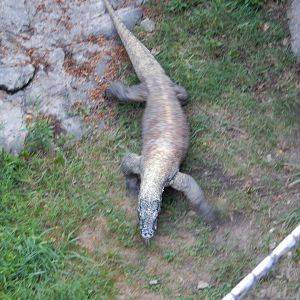 8/12/2018 - Just A Little Farther...