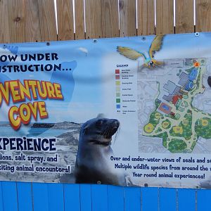 8/12/2018 - Poster About Adventure Cove