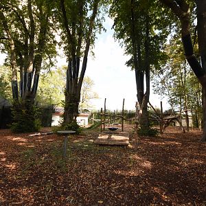 Giant panda enclosure