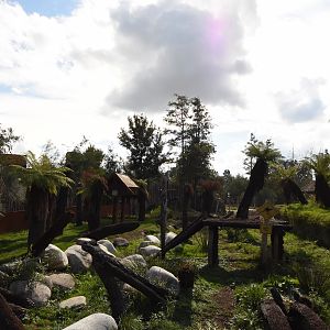Tasmanian devil enclosure