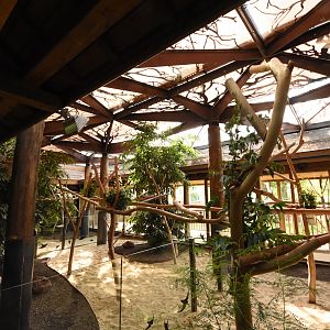 Koala house interior