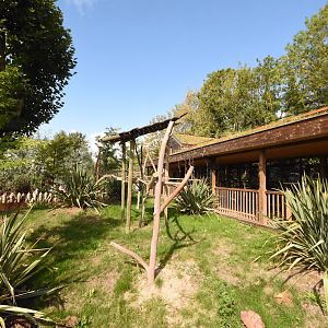 Koala outdoor enclosure