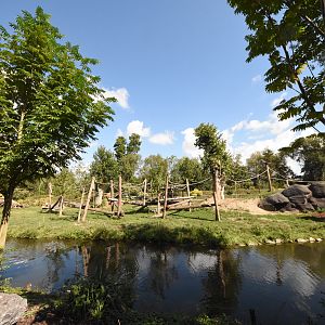 Gorilla island number 2