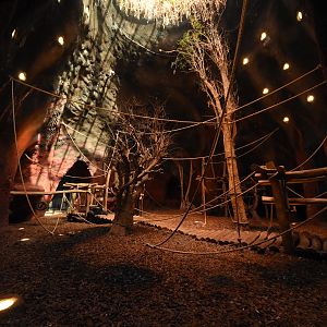 Gorilla volcano number 2