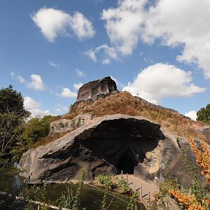 Gorilla volcano number 2