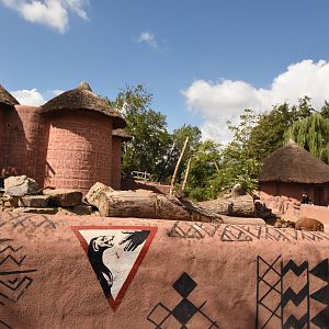 Yellow mongoose and Red river hog enclosure
