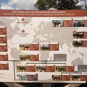 Elephants currently kept