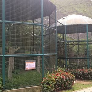 Aviaries Within the Main Walkthrough Aviary