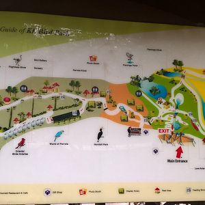 Map of the Bird Park