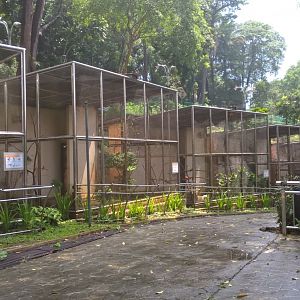 Native Bird Aviaries