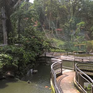 Part of the Water Area in the Main Walkthrough Aviary