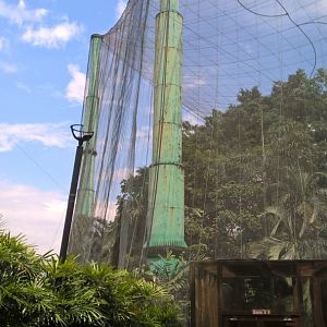 Part of the Main Walkthrough Aviary Viewed from Outside