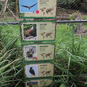 Vulture aviary signs