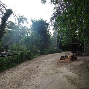 Vulture aviary and pathway