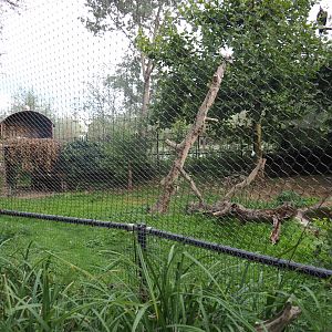 Vulture aviary