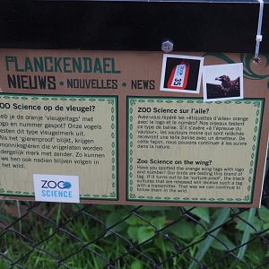 Ongoing vulture research sign