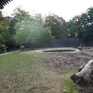First Indian rhinoceros paddock